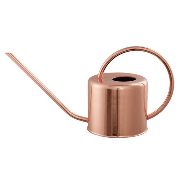 vintage copper colored watering can stainless steel pot kettle with long spout nozzle for indoor outdoor plants flowers equipments
vintage copper colored watering can stainless steel pot kettle with long spout nozzle for indoor outdoor plants flowers equipments