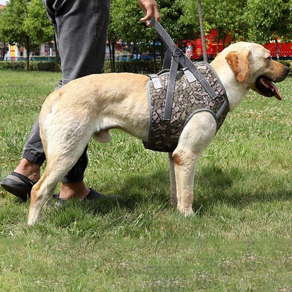 explosion-proof red pet chest harness medium and large dog vest-style leash gray xl collars & leashes
explosion-proof red pet chest harness medium and large dog vest-style leash gray xl collars & leashes