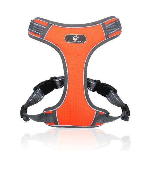 dog collars & leashes 2021 adjustable soft reflective breathable safety vest strap absorbing middle large chest strape harness
dog collars & leashes 2021 adjustable soft reflective breathable safety vest strap absorbing middle large chest strape harness