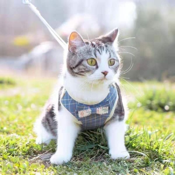 cat collars & leads dog adjustable harness vest walking lead leash for puppy dogs collar polyester mesh small medium pet e11396
cat collars & leads dog adjustable harness vest walking lead leash for puppy dogs collar polyester mesh small medium pet e11396