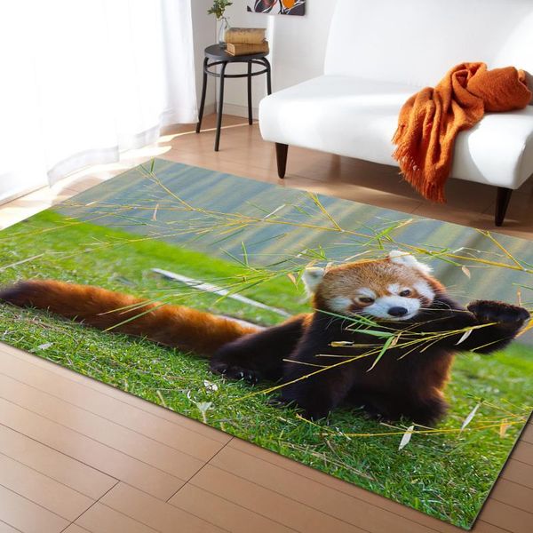 carpets chinese lesser panda for living room children's carpet bedroom bedside blanket kitchen doormat
carpets chinese lesser panda for living room children's carpet bedroom bedside blanket kitchen doormat