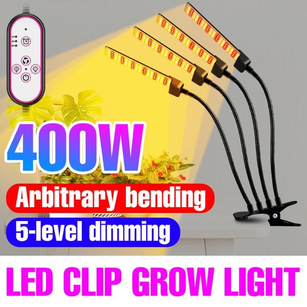 grow lights plant lamp led hydroponics growing light bulbs 5v 100 200 300 400w indoor flower seeds lampara phyto tent box bombilla
grow lights plant lamp led hydroponics growing light bulbs 5v 100 200 300 400w indoor flower seeds lampara phyto tent box bombilla