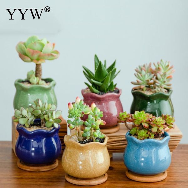 vases 6pcs/lot ice cracked ceramic flower pot set succulent deskpotted plant mini flowerpot
vases 6pcs/lot ice cracked ceramic flower pot set succulent deskpotted plant mini flowerpot