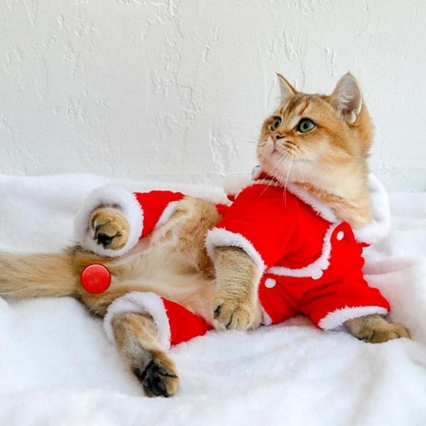 dog apparel stylish pet puppy cats warm romper outfit cosplay costume close fitting keep warmth
dog apparel stylish pet puppy cats warm romper outfit cosplay costume close fitting keep warmth