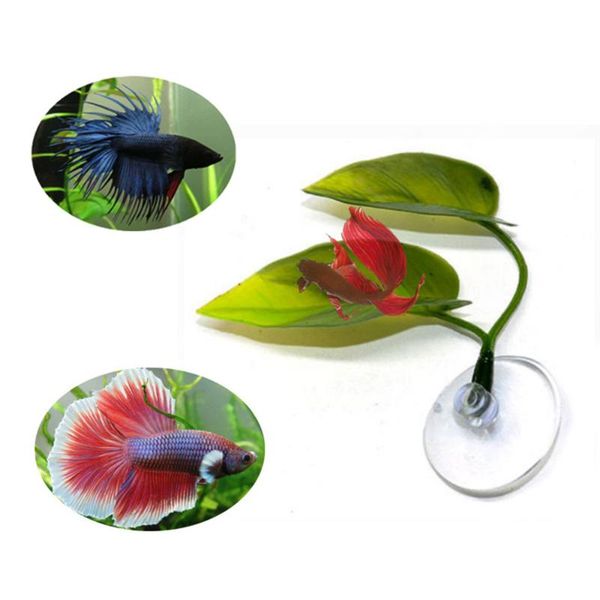 artificial aquarium landscape leaf decoration betta fish rest spawning ornamental plant play relax hide hammock decorations
artificial aquarium landscape leaf decoration betta fish rest spawning ornamental plant play relax hide hammock decorations