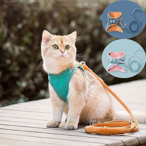 dog collars & leashes night reflective pet leash suede cat chest harness collar vest walking rope accessories
dog collars & leashes night reflective pet leash suede cat chest harness collar vest walking rope accessories