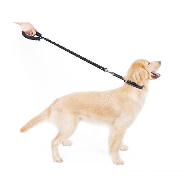 dog leash buffer bungee jumping to prevent violent impact safety rope retractable reflective large and medium pet collars & leashes
dog leash buffer bungee jumping to prevent violent impact safety rope retractable reflective large and medium pet collars & leashes