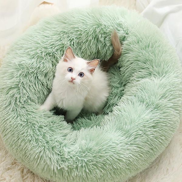 cat beds & furniture pet products accessories nesk and houses mat dog supplies cushion for animal small kittens comfort
cat beds & furniture pet products accessories nesk and houses mat dog supplies cushion for animal small kittens comfort