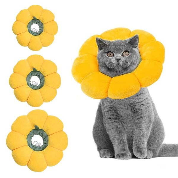 cat costumes kitten recovery collar anti-lick/bite neck cone elizabeth padded cute flower shape pet accessories
cat costumes kitten recovery collar anti-lick/bite neck cone elizabeth padded cute flower shape pet accessories