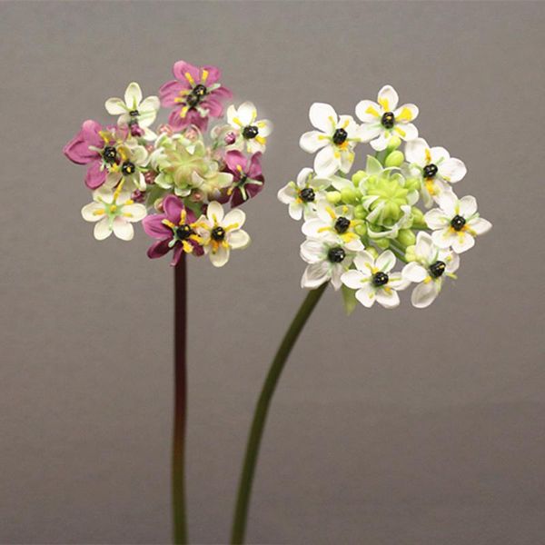 decorative flowers & wreaths 1pc star of bethlehem six petal flower artificial diy wedding party home decoration display arrangement plants
decorative flowers & wreaths 1pc star of bethlehem six petal flower artificial diy wedding party home decoration display arrangement plants