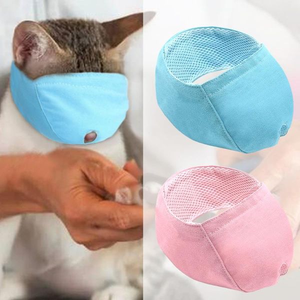 breathable cat muzzle anti bite kitten muzzles mask cats bathing grooming bag pet supplies costumes
breathable cat muzzle anti bite kitten muzzles mask cats bathing grooming bag pet supplies costumes