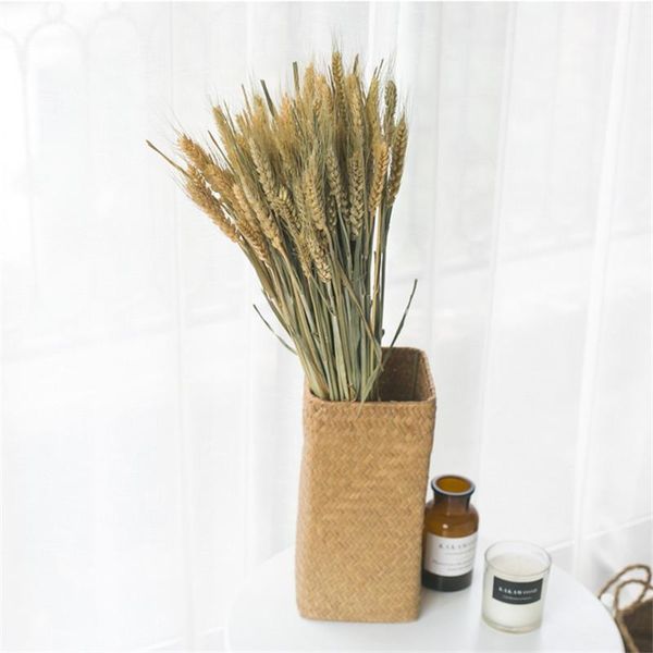 decorative flowers & wreaths 50pcs dried natural ears of wheat bunch real ear flower bouquets for wedding bridal home decoration
decorative flowers & wreaths 50pcs dried natural ears of wheat bunch real ear flower bouquets for wedding bridal home decoration