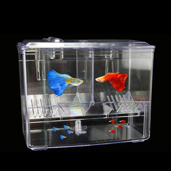 aquariums outer hanging alga breeding box incubator isolation nursery house aquarium accessaries container pet products
aquariums outer hanging alga breeding box incubator isolation nursery house aquarium accessaries container pet products