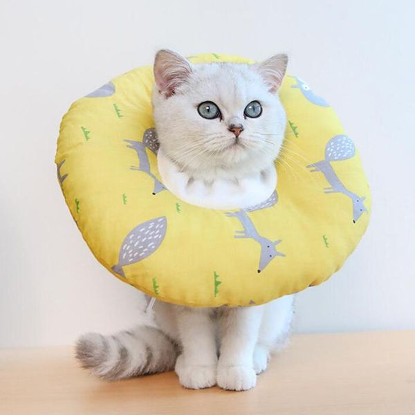 cat collars & leads pet printed elizabeth circle cats protection neck ring cotton blends anti licking and biting prevention beauty t
cat collars & leads pet printed elizabeth circle cats protection neck ring cotton blends anti licking and biting prevention beauty t