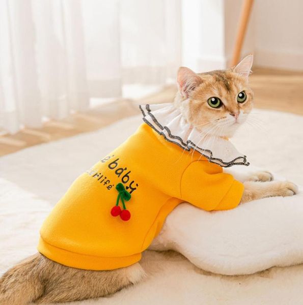 cat costumes dog clothes summer t-shirt for pet cotton puppy shirt small medium dogs chihuahua outfit
cat costumes dog clothes summer t-shirt for pet cotton puppy shirt small medium dogs chihuahua outfit