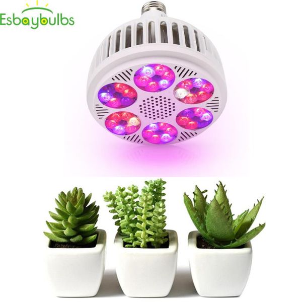full spectrum led grow light 120w leds indoor plant lamp flowering hydroponics system garden hydro flower greenhouse lights
full spectrum led grow light 120w leds indoor plant lamp flowering hydroponics system garden hydro flower greenhouse lights