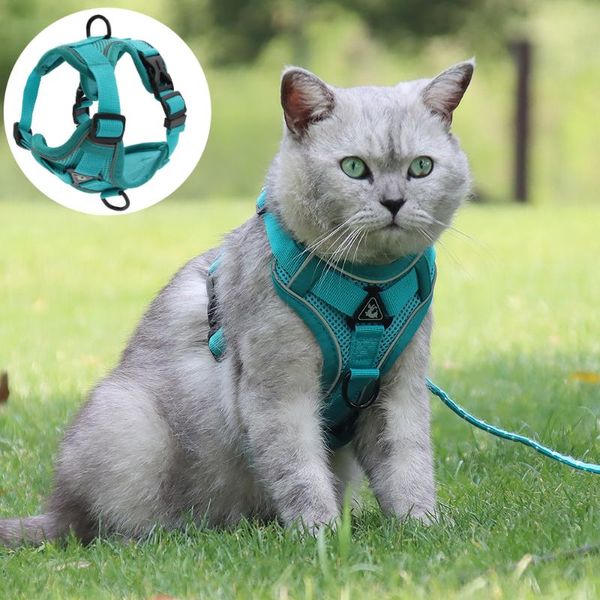 cat collars & leads harness and leash set for escape proof vest with reflective strips adjustable soft mesh kitten puppy
cat collars & leads harness and leash set for escape proof vest with reflective strips adjustable soft mesh kitten puppy