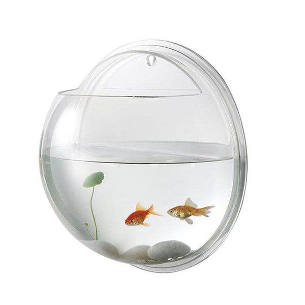 aquariums 19.5cm diameter creative wall mounted acrylic fish bowl hanging aquarium tank transparent home ornament
aquariums 19.5cm diameter creative wall mounted acrylic fish bowl hanging aquarium tank transparent home ornament
