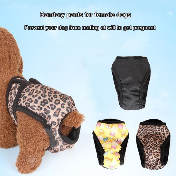 dog apparel physiological pants for female pet menstruation underwear briefs dogs diapers puppy shorts sanitary panties
dog apparel physiological pants for female pet menstruation underwear briefs dogs diapers puppy shorts sanitary panties