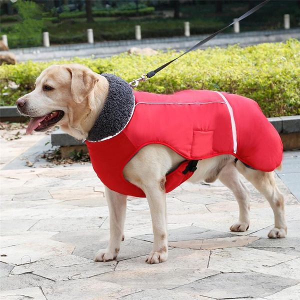 dog apparel tpfocus luxury pet dress clothes winter waterproof outdoor jacket reflective thicken warm coat
dog apparel tpfocus luxury pet dress clothes winter waterproof outdoor jacket reflective thicken warm coat