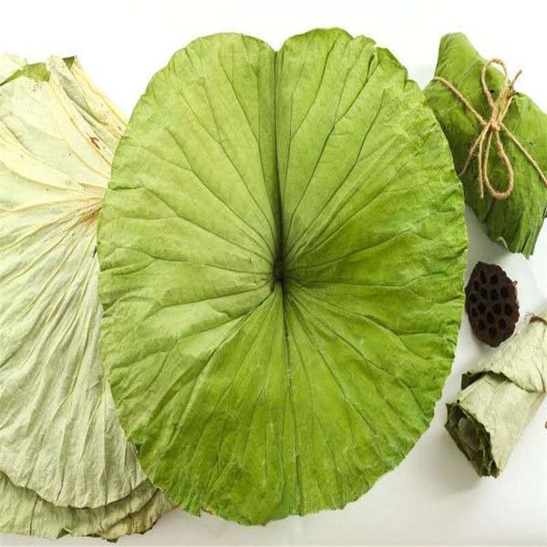 40pcs dried lotus leaf pure natural whole more than 20cm decorative flowers & wreaths
40pcs dried lotus leaf pure natural whole more than 20cm decorative flowers & wreaths