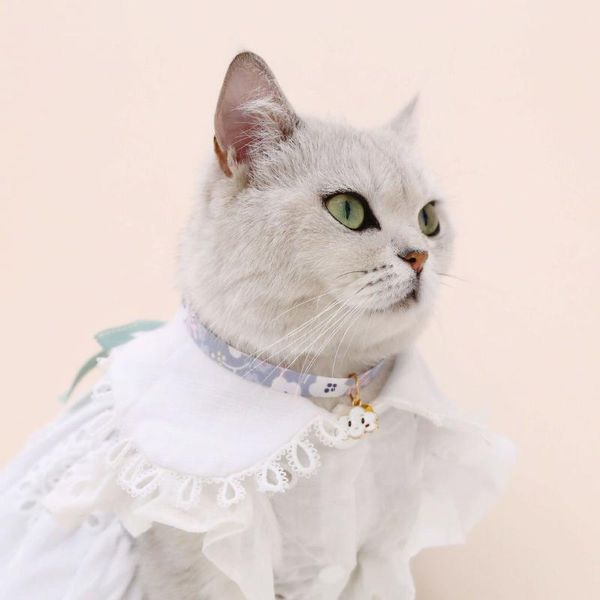 cat collars & leads pet collar cloud rainbow adjustable bell safety buckle necklace flower accessories kitten and puppy supplies
cat collars & leads pet collar cloud rainbow adjustable bell safety buckle necklace flower accessories kitten and puppy supplies