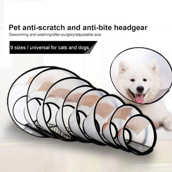 cat collars & leads elizabeth circle anti-bite pet dog collar protective cover accessories dogs prevent licking wounds for
cat collars & leads elizabeth circle anti-bite pet dog collar protective cover accessories dogs prevent licking wounds for