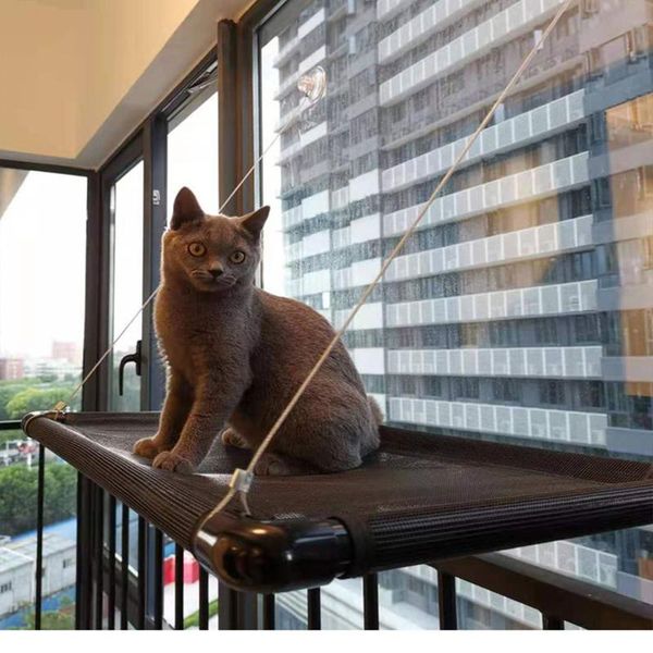 cat beds & furniture hanging pet hammock bed for cats comfortable window with blanket kitty sunny seat mount bearing 31kg
cat beds & furniture hanging pet hammock bed for cats comfortable window with blanket kitty sunny seat mount bearing 31kg