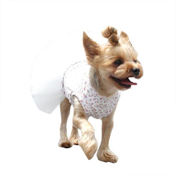 dog apparel fashion pet spring and summer breathable elegant tutu skirt cat luxury princess wedding party a1
dog apparel fashion pet spring and summer breathable elegant tutu skirt cat luxury princess wedding party a1