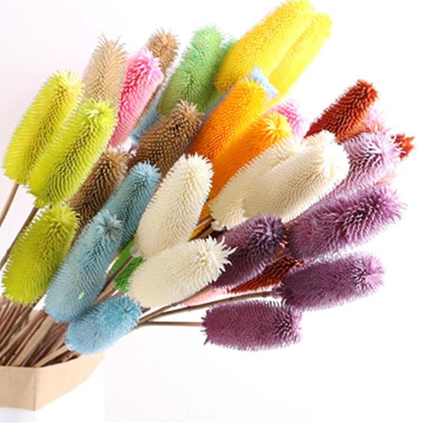 decorative flowers & wreaths real nature dried flower artificial dipsacus sativus diy accessories christmas wedding home decoration shooting
decorative flowers & wreaths real nature dried flower artificial dipsacus sativus diy accessories christmas wedding home decoration shooting
