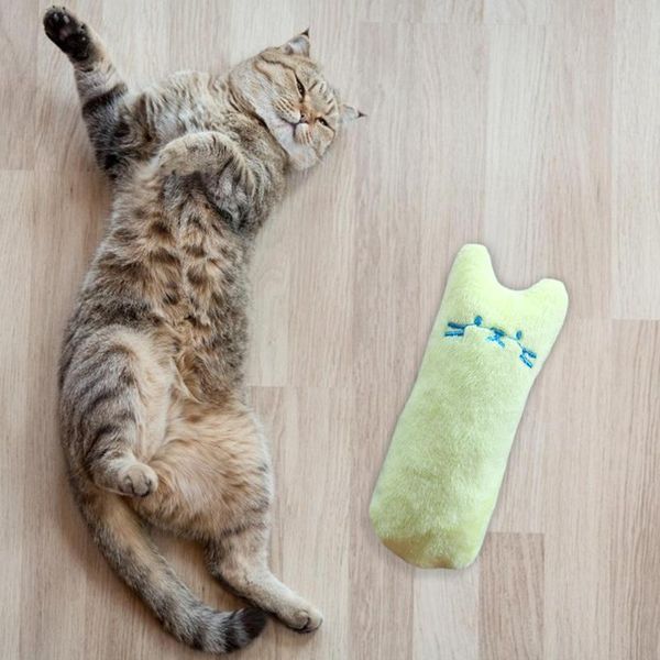 cat toys not easy to damage catnip interactive thumb plush teeth grinding bite mint pillow supplies
cat toys not easy to damage catnip interactive thumb plush teeth grinding bite mint pillow supplies