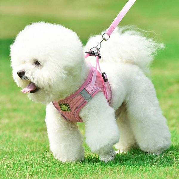dog collars & leashes pet chest strap vest leash reflective breathable harness for dogs rope supplies pink product small collar
dog collars & leashes pet chest strap vest leash reflective breathable harness for dogs rope supplies pink product small collar