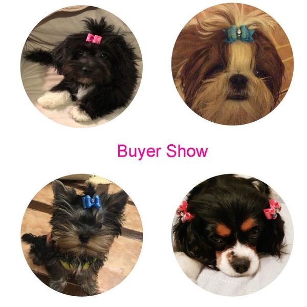 dog apparel 5pcs handmade cute pet bow lovely bowknot ties for puppy dogs accessories with rubber bands headwear grooming
dog apparel 5pcs handmade cute pet bow lovely bowknot ties for puppy dogs accessories with rubber bands headwear grooming