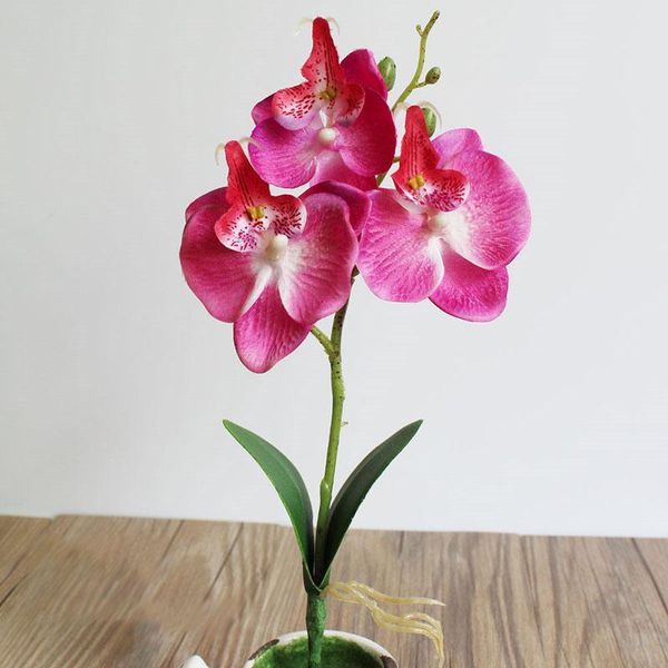 decorative flowers & wreaths 3 heads artificial fake butterfly orchid flower filled life for house garden wedding decoration arrangements ae
decorative flowers & wreaths 3 heads artificial fake butterfly orchid flower filled life for house garden wedding decoration arrangements ae