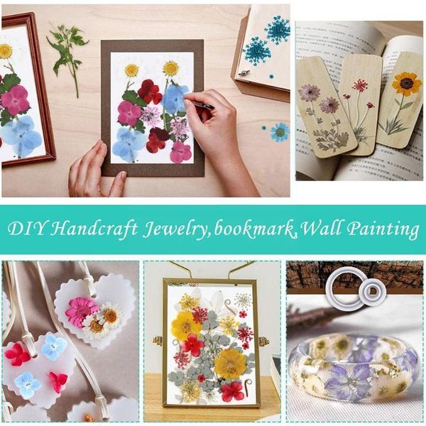 decorative flowers & wreaths 1 bag real dried flower dry plants diy phone case applique jewelry epoxy necklace painting making pendant resin
decorative flowers & wreaths 1 bag real dried flower dry plants diy phone case applique jewelry epoxy necklace painting making pendant resin
