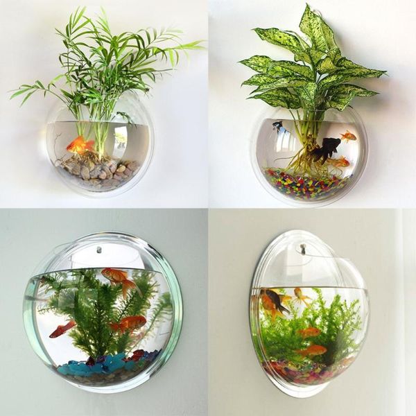 aquariums acrylic fish bowl wall hanging aquarium tank aquatic pet supplies pot plant vase mounted home decoration
aquariums acrylic fish bowl wall hanging aquarium tank aquatic pet supplies pot plant vase mounted home decoration