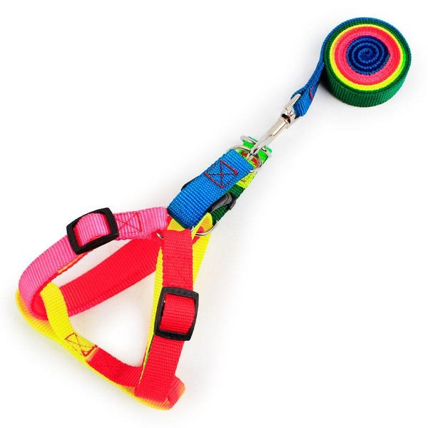 cat collars & leads fashion rainbow colorful pet harness and leash set puppy dog kitten adjustable walking products
cat collars & leads fashion rainbow colorful pet harness and leash set puppy dog kitten adjustable walking products