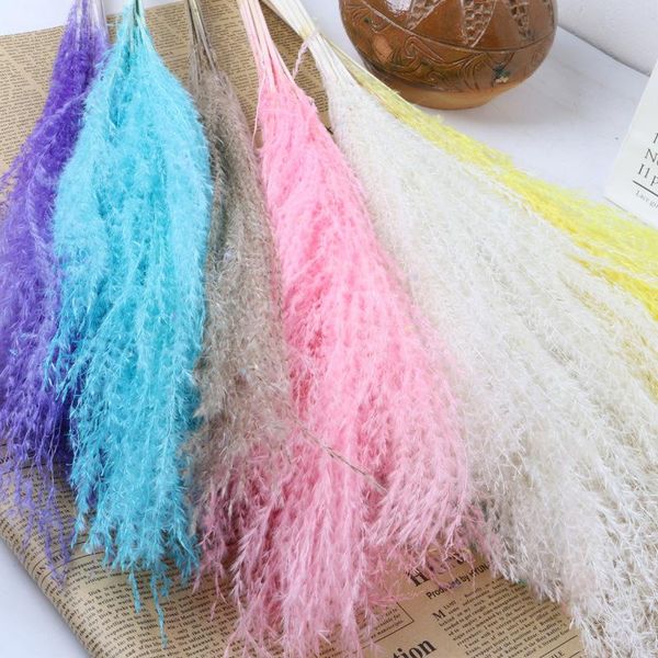 decorative flowers & wreaths natural plants dried flower pampas grass fluffy phragmites diy bouquet wedding arrangement home easterdecoratio
decorative flowers & wreaths natural plants dried flower pampas grass fluffy phragmites diy bouquet wedding arrangement home easterdecoratio