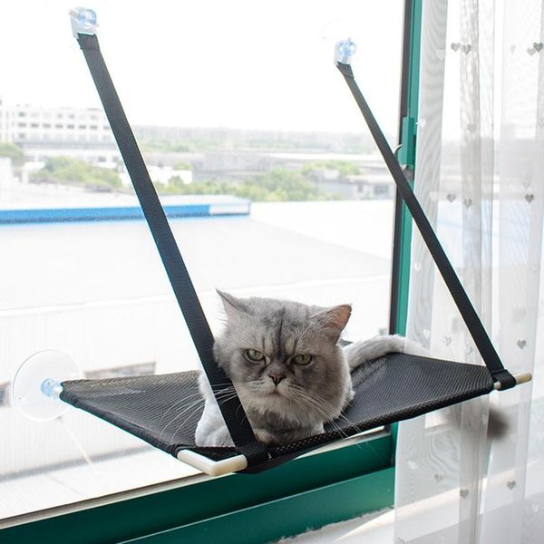 cat bed window perch seat suction cups space saving hammock pet resting safety shelves beds & furniture
cat bed window perch seat suction cups space saving hammock pet resting safety shelves beds & furniture