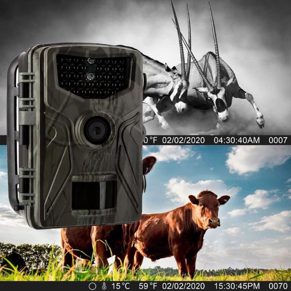 hunting cameras camera po trap wildlife trail night vision thermal imager video for scouting game
hunting cameras camera po trap wildlife trail night vision thermal imager video for scouting game
