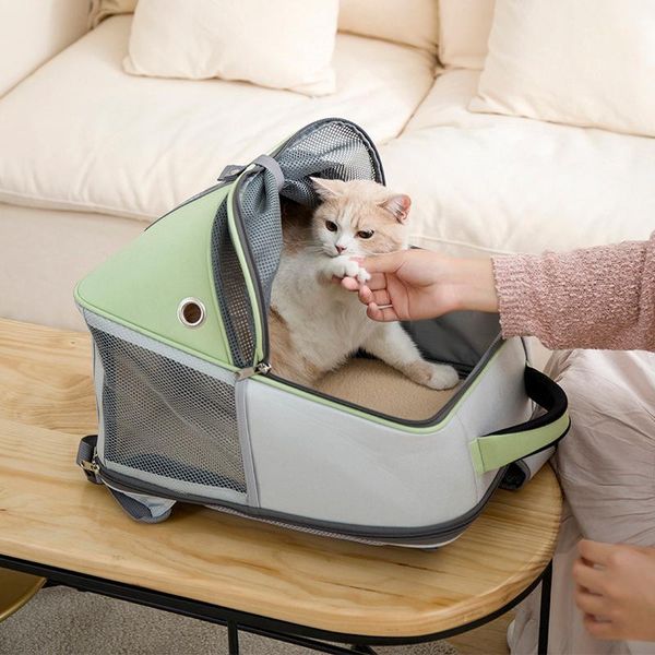 spring and summer cat backpack pet out portable breathable carriers,crates & houses
spring and summer cat backpack pet out portable breathable carriers,crates & houses