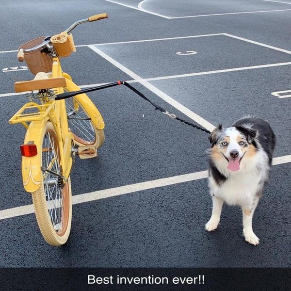 bike handlebars &components dog hands leashes,dog bicycle exerciser leash,dog leash for exercising training jogging cycling
bike handlebars &components dog hands leashes,dog bicycle exerciser leash,dog leash for exercising training jogging cycling