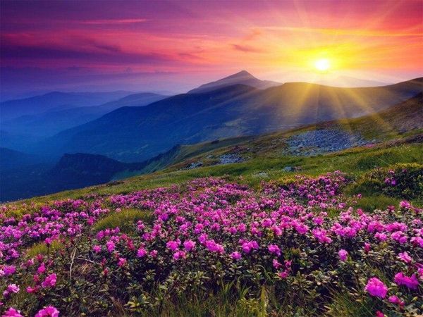 paintings sunset oil pictures wall decoration framed colorings by numbers with scenery diy picture drawing painting
paintings sunset oil pictures wall decoration framed colorings by numbers with scenery diy picture drawing painting