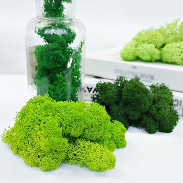 decorative flowers & wreaths 20g artificial natural plant eternal life moss mini micro landscape decor accessories home garden ornament diy
decorative flowers & wreaths 20g artificial natural plant eternal life moss mini micro landscape decor accessories home garden ornament diy