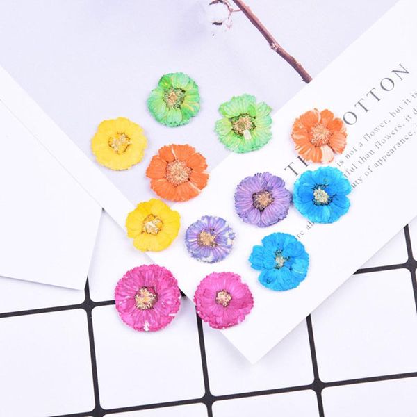 decorative flowers & wreaths 12pcs/bag beautiful chrysanthemum dried flower phone case diy pressed material
decorative flowers & wreaths 12pcs/bag beautiful chrysanthemum dried flower phone case diy pressed material