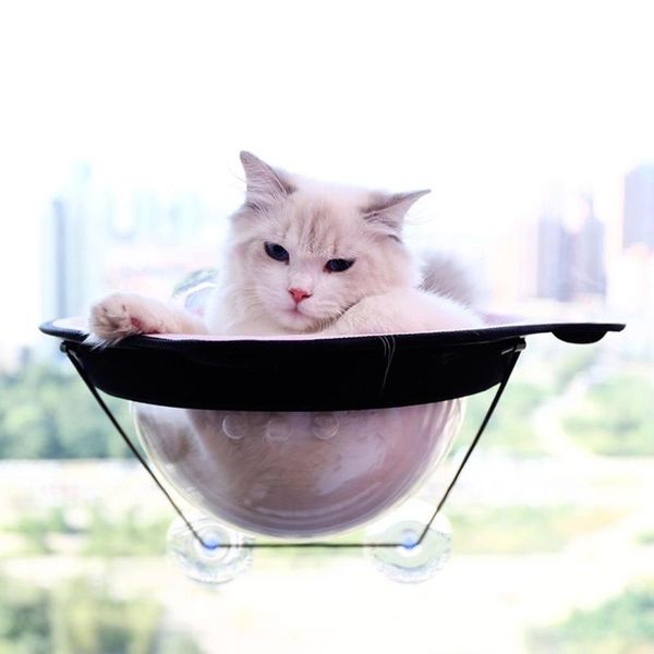 pet cat hanging bed hammock sleeping space window dogs cats toy sofa tatami supplies beds & furniture
pet cat hanging bed hammock sleeping space window dogs cats toy sofa tatami supplies beds & furniture