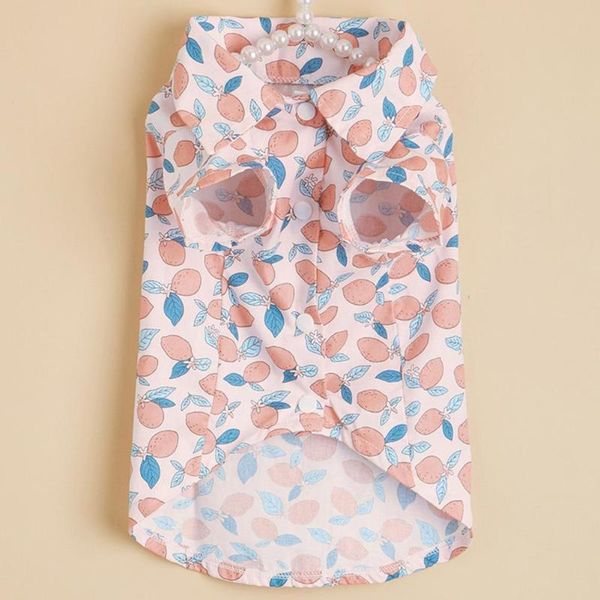 cat costumes fashion puppy shirt two-legged turndown collar cotton fruit printing pet t-shirt costume for daily life kitten clothes
cat costumes fashion puppy shirt two-legged turndown collar cotton fruit printing pet t-shirt costume for daily life kitten clothes