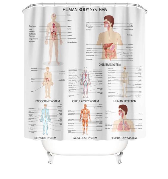 shower curtains 3d for bathroom creative human organs po sets toliet mat bath non-slip
shower curtains 3d for bathroom creative human organs po sets toliet mat bath non-slip