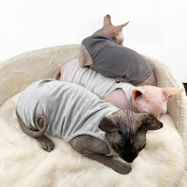 cat costumes clothe t-shirt hairless cotton vest sling anti-allergic air-conditioned room mutual belly short-footed clothes pet
cat costumes clothe t-shirt hairless cotton vest sling anti-allergic air-conditioned room mutual belly short-footed clothes pet