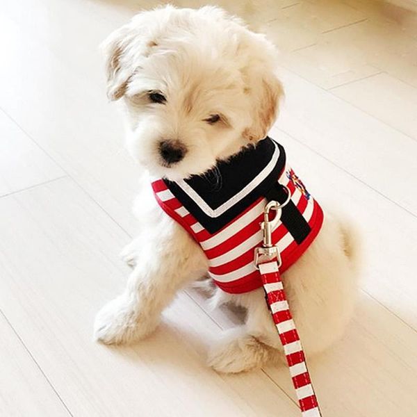 dog collars & leashes pet harness creative navy suit style adjustable chest strap secure traction rope for small medium dogs cats supplies
dog collars & leashes pet harness creative navy suit style adjustable chest strap secure traction rope for small medium dogs cats supplies